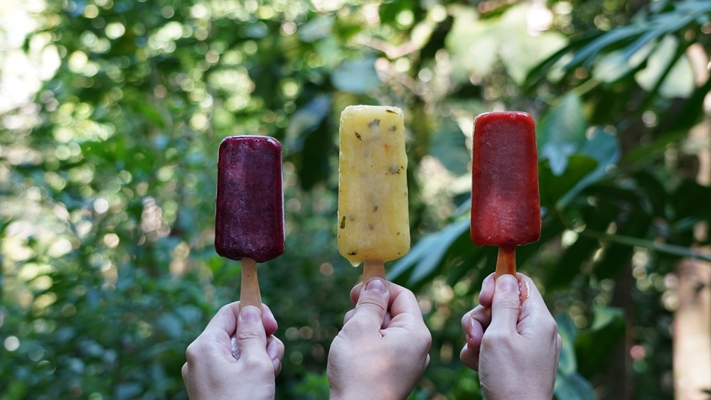 Paletas Sabores do Iguaçu