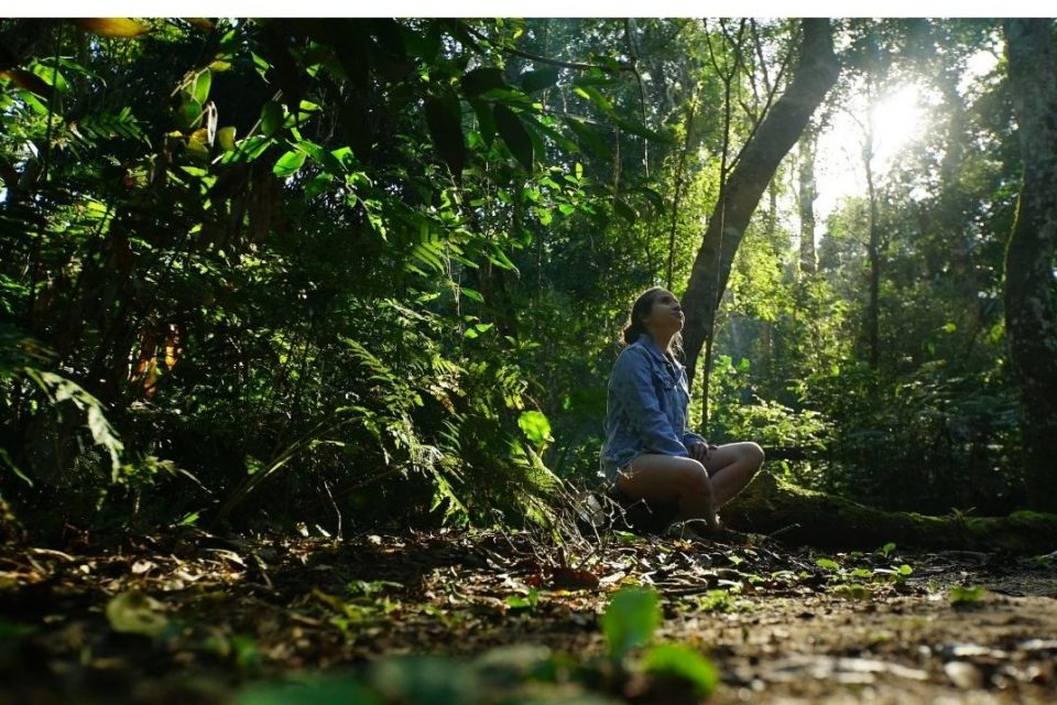 A floresta e seus habitantes estão em constante mudança