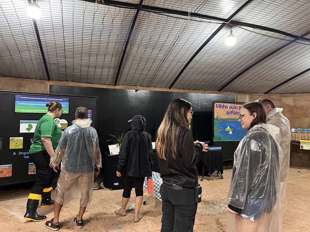 visitantes observando exposição com educadores da conservação
