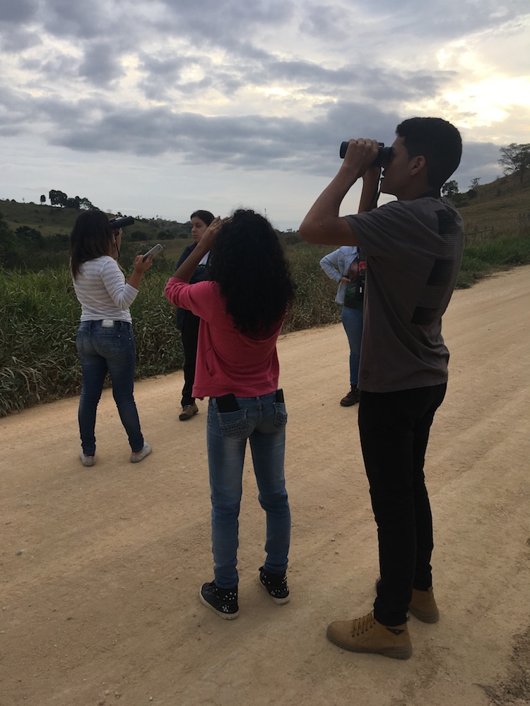 Grupo observando os papagaios-chauá