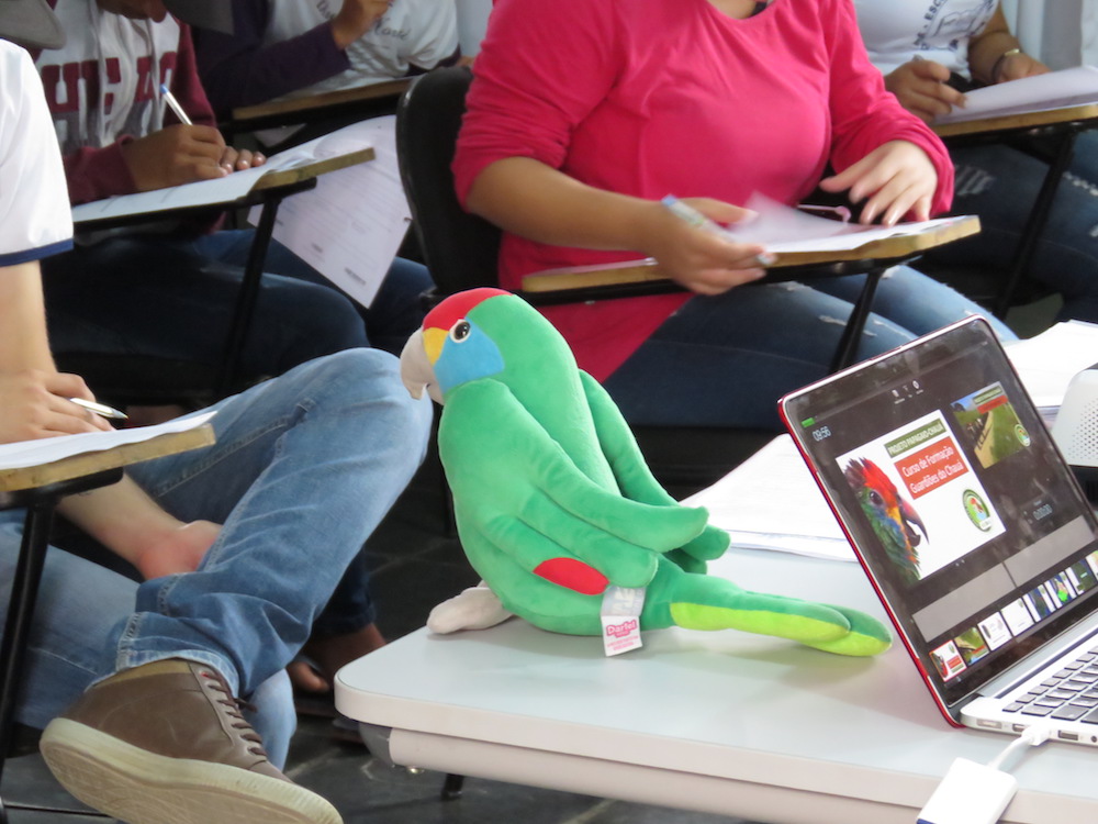 Imagem de uma sala de aula com alunos sentados em carteiras, focando em um papagaio-chauá de pelúcia sobre uma mesa ao lado de um laptop que exibe uma apresentação.