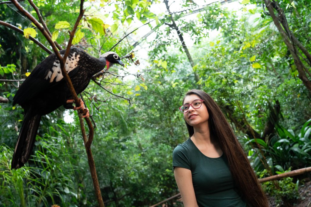 Moça olhando para uma jacutinga no Parque das Aves