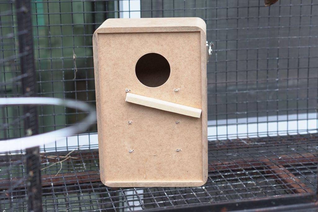 A equipe de Infraestrutura do Parque das Aves cria caixas-ninho especiais, feitas de madeira. Esse é um ninho de periquito. Foto: Equipe do Parque das Aves.