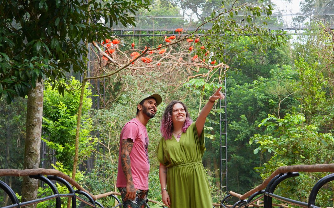 Parque das Aves é o primeiro e único zoológico brasileiro internacionalmente Acreditado