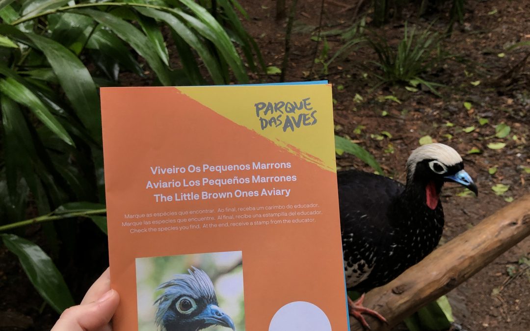 Férias de julho no Parque das Aves: um passeio imperdível!