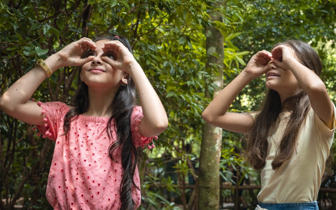 Parque das Aves espera receber 13 mil visitantes no feriadão da Independência