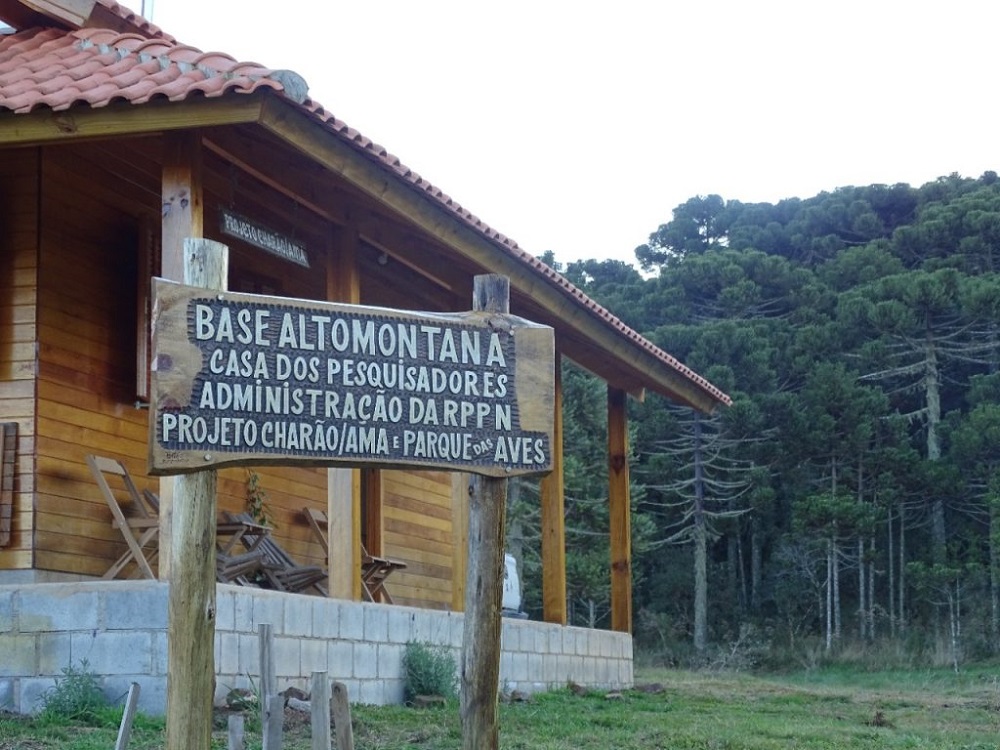 Base altomontana do Projeto Charão foi construído com recursos do Parque das Aves, um investimento que beneficia as pesquisas do papagaio-charão na região.