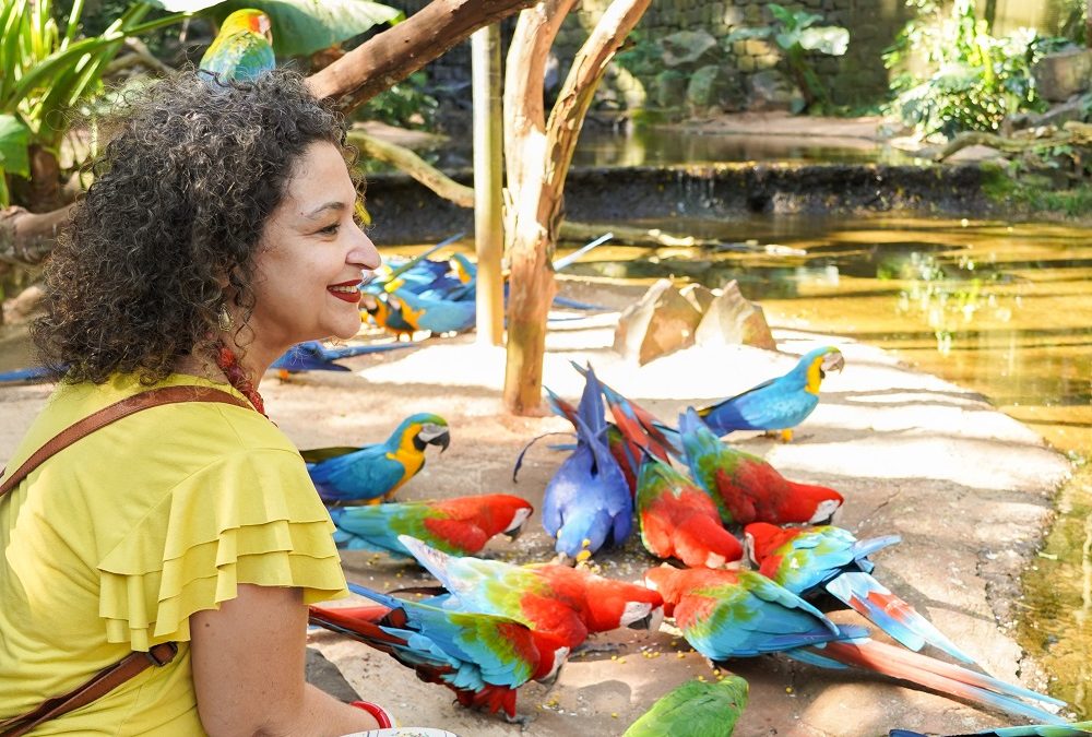 Parque das Aves na primeira posição em lista no TripAdvisor