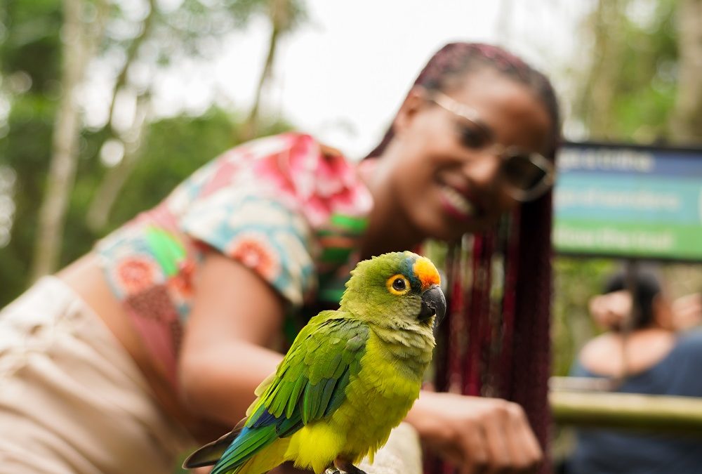 Parque das Aves anuncia facilidades para o pagamento dos ingressos