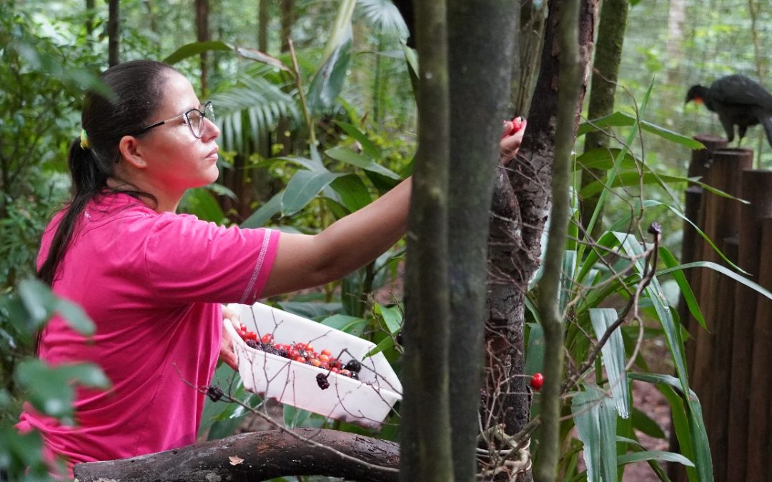 Parque das Aves celebra empoderamento feminino no Dia Internacional da Mulher