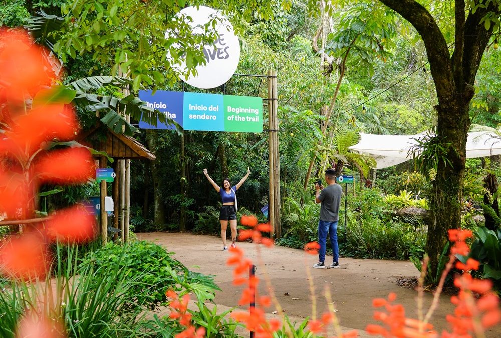Parque das Aves participa da campanha latino-americana contra o tráfico ilegal de animais silvestres, promovida pela ALPZA
