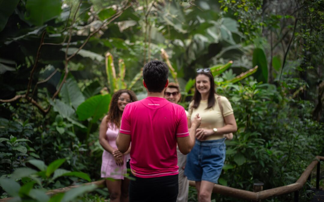 Parque das Aves encerra 2024 com recorde de 821.146 visitantes