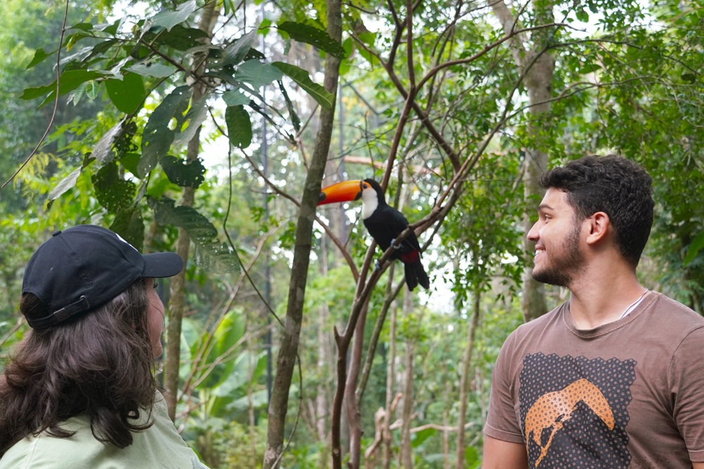 Dois visitantes observam um tucano-do-bico-preto pousado em galho, dentro de área arborizada do Parque das Aves.