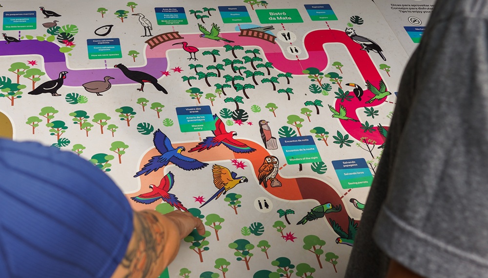  Mãos apontam para um mapa ilustrado e colorido do percurso do Parque das Aves, com desenhos de espécies e setores temáticos. Turismo sustentável.