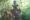 Homem aplaude em frente ao busto de Tadeusz Chrostowski, naturalista polonês e patrono da ornitologia no Paraná, instalado em meio à vegetação do Parque das Aves
