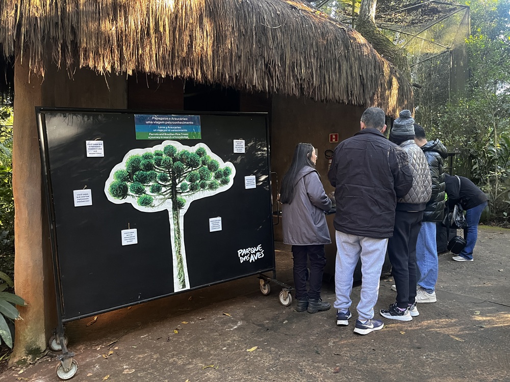 Visitantes observam painel informativo com ilustração de uma araucária no Parque das Aves.