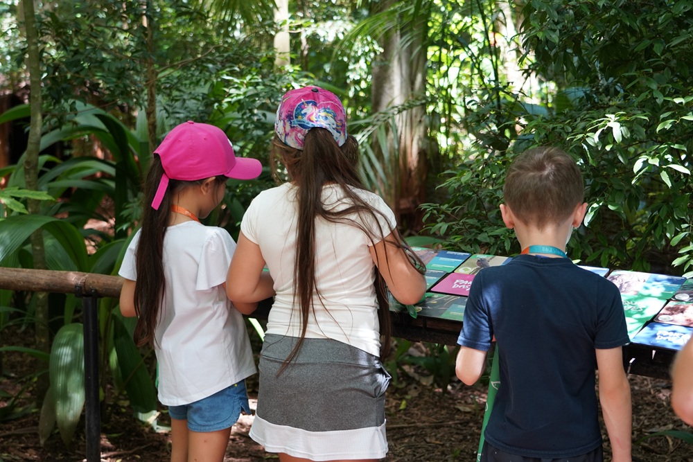 Três crianças observam materiais educativos expostos em uma mesa no meio da área verde do Parque das Aves.