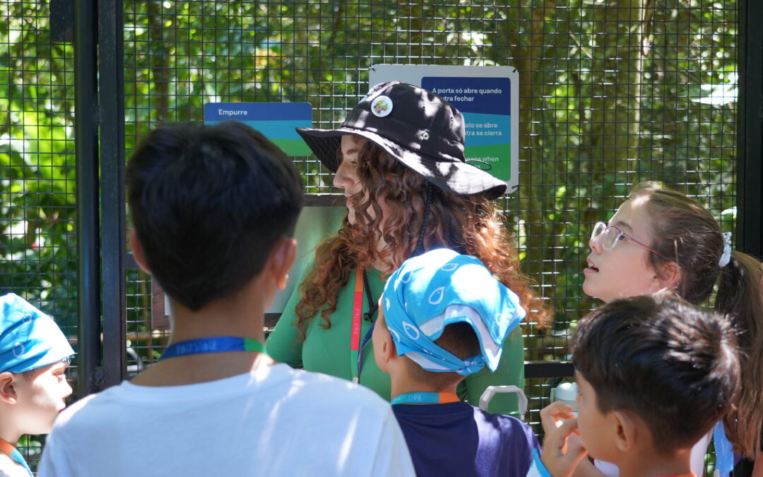 Natureza e diversão: vem aí a Colônia de Férias de julho no Parque das Aves