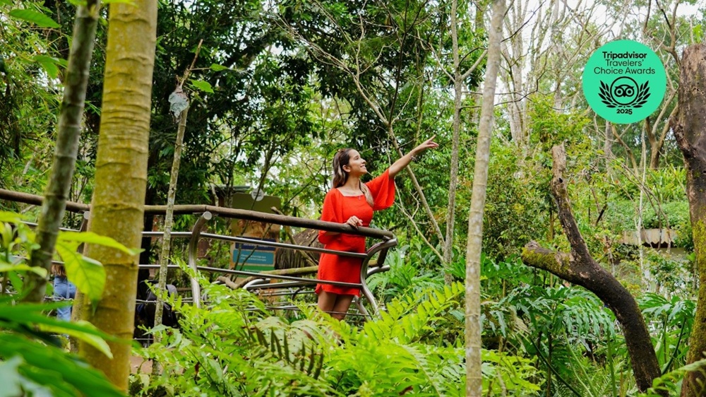 Mulher com vestido vermelho observa a paisagem em passarela elevada cercada pela vegetação da Mata Atlântica, no Parque das Aves, com selo do Tripadvisor 2025.
