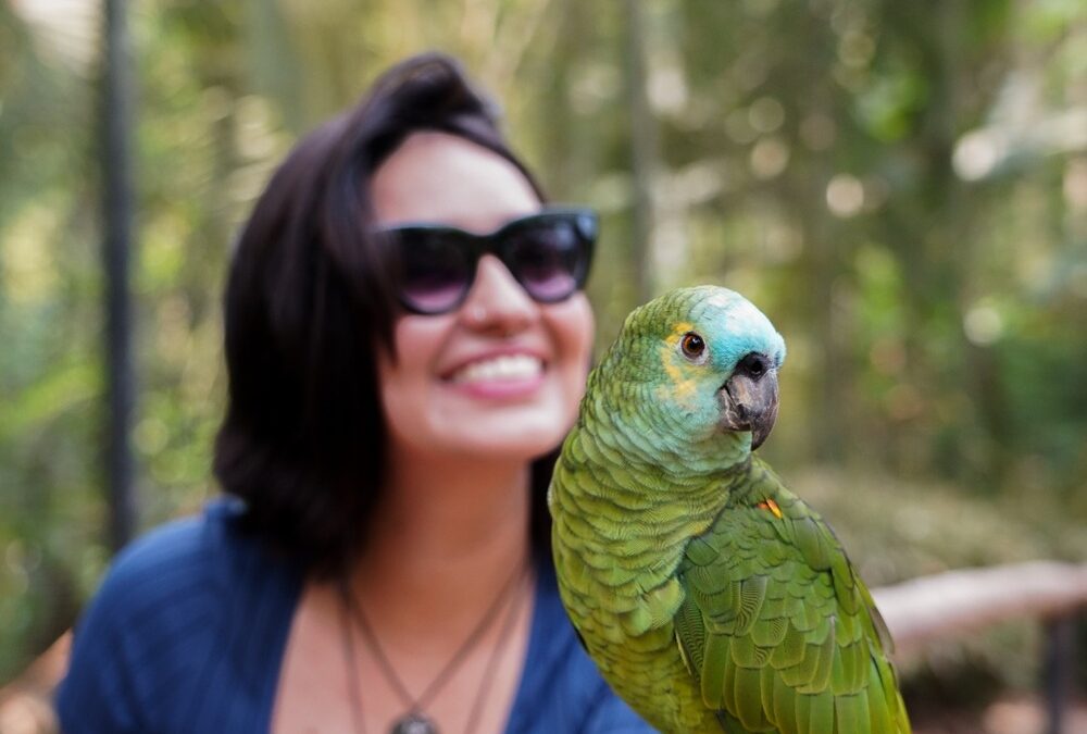 Parque das Aves ultrapassa marca de 53 mil visitantes em junho