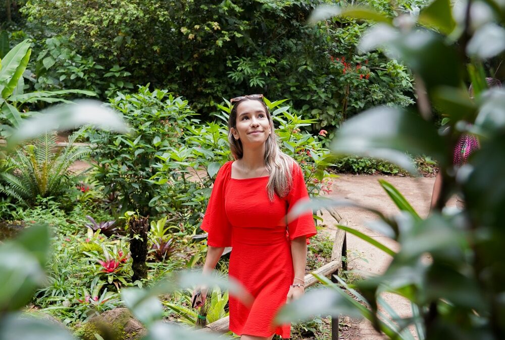 Parque das Aves oferece entrada gratuita a moradores de Foz do Iguaçu em junho