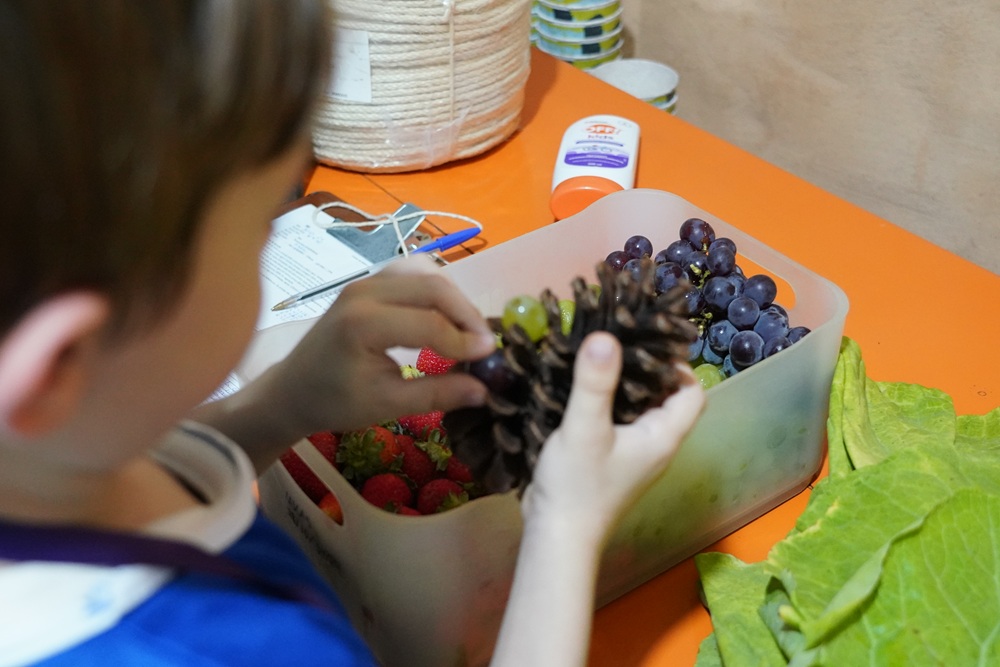 Criança segura uma pinha enquanto observa frutas organizadas em uma caixa durante oficina.