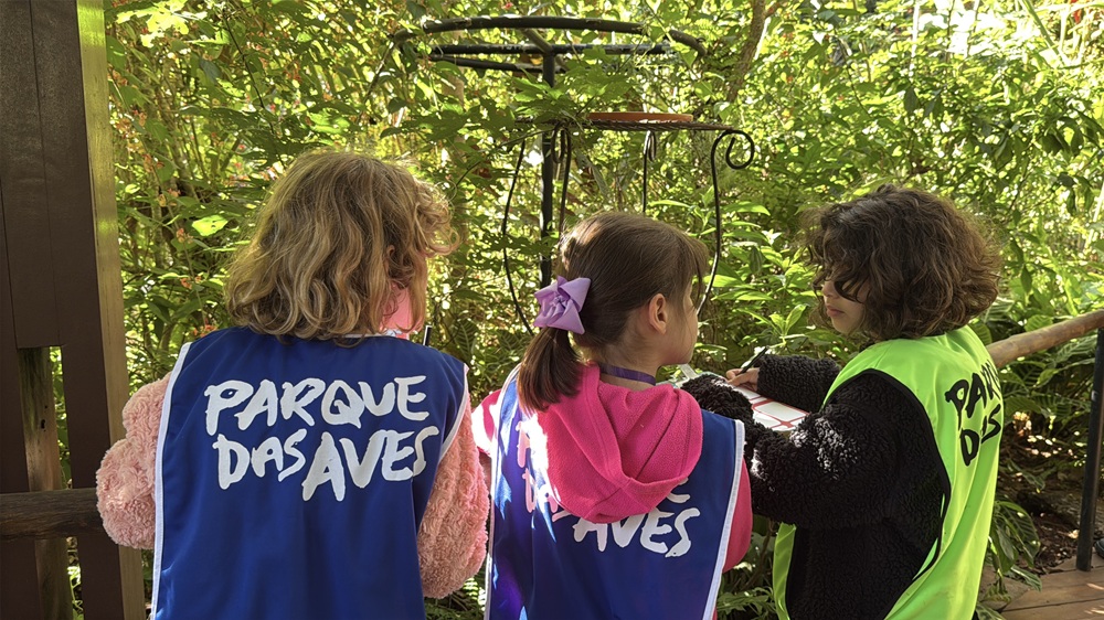 Experiência imersiva na Mata Atlântica marca a Colônia de Férias do Parque das Aves