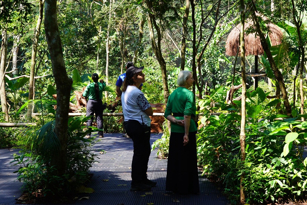 Dra. Anna visita o trecho recém-ampliado da trilha, envolto pela biodiversidade da Mata Atlântica.