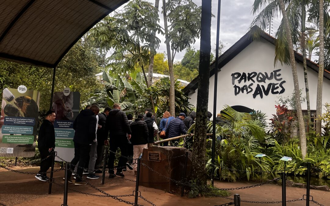 Agosto bate recordes e reforça missão do Parque das Aves