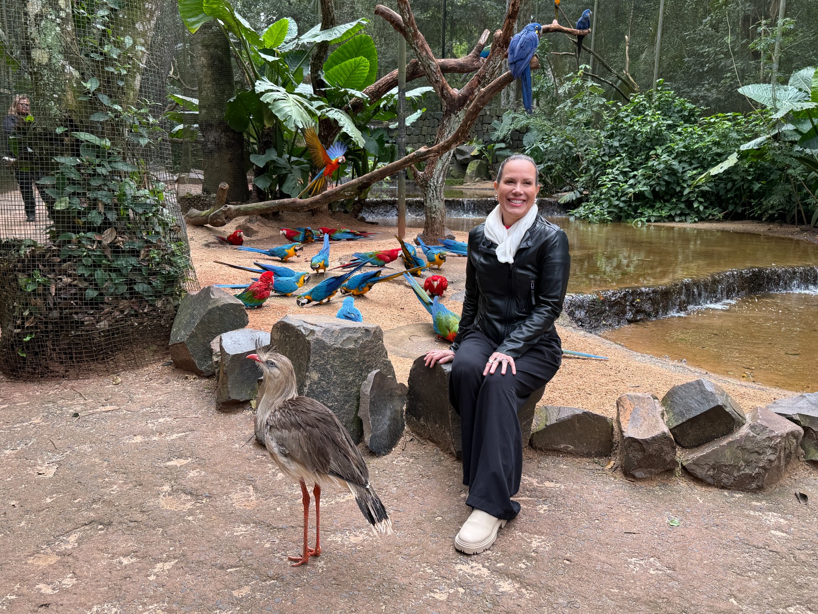 reginal volpato no parque das aves em foz