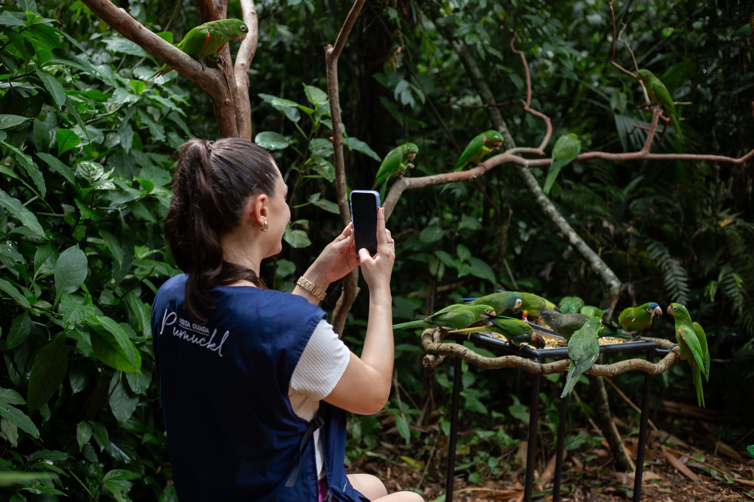 Visita Guiada Pumuckl em momento de contemplação dos periquitos