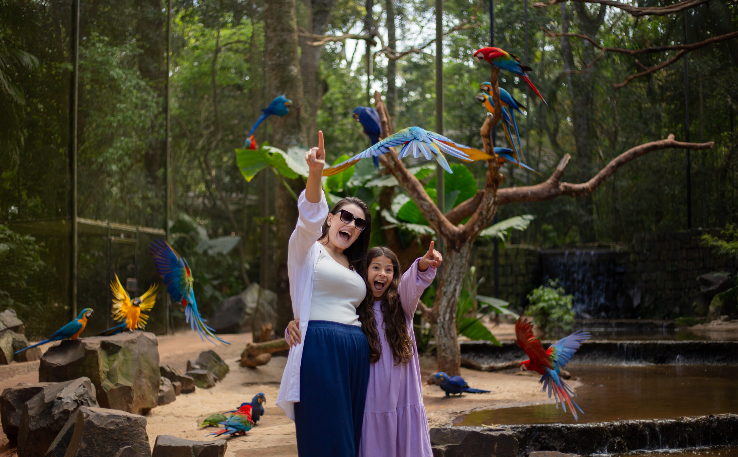 O que fazer em Foz do Iguaçu roteiro com AquaFoz, Parque das Aves e Cataratas em um dia