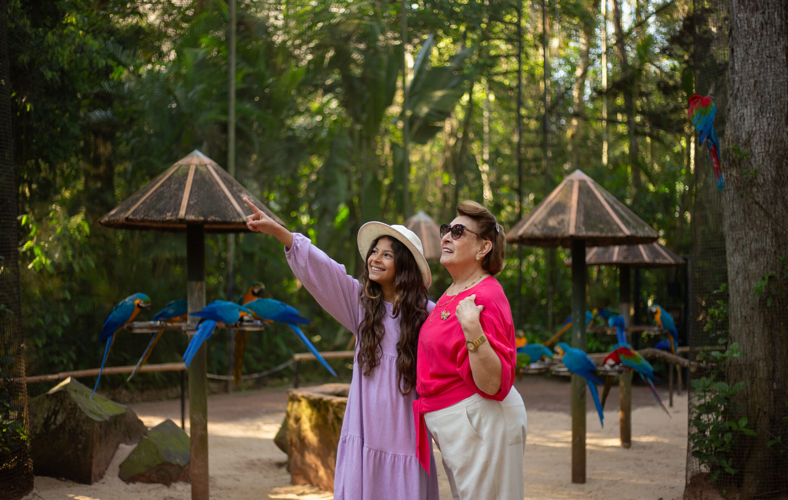 Visitantes no viveiro das araras