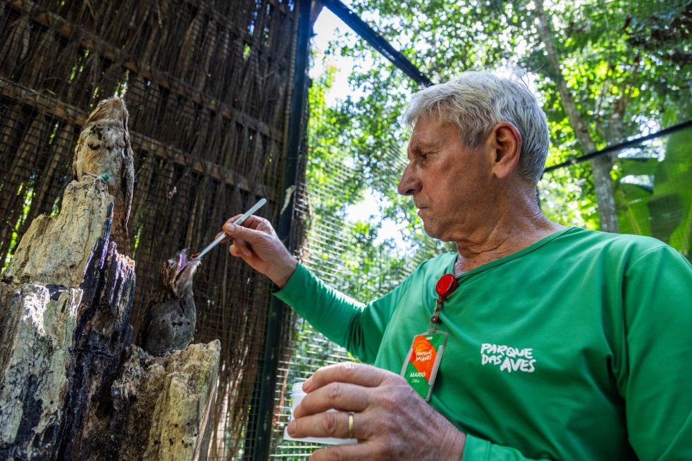 Colaborador alimentando Urutau (foto Gustavo Fonseca)