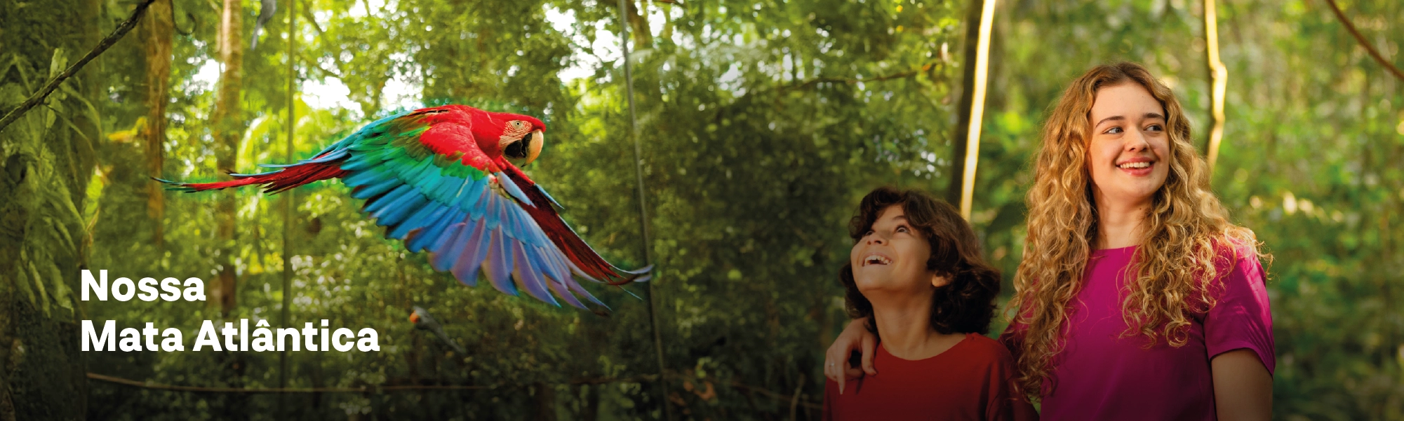 AF_Banner_Site_PDA_02