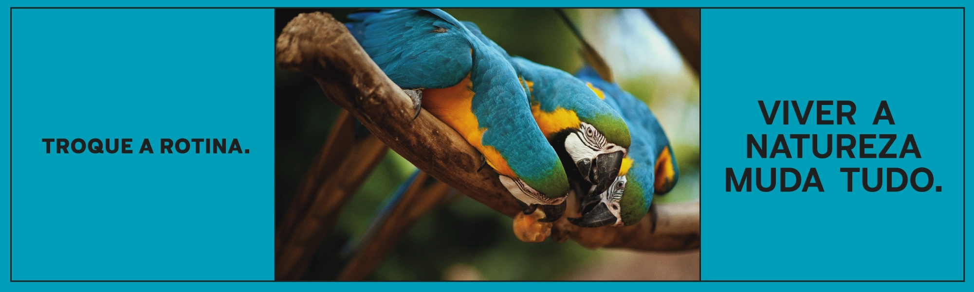 AF_Banner_Site_PDA_03