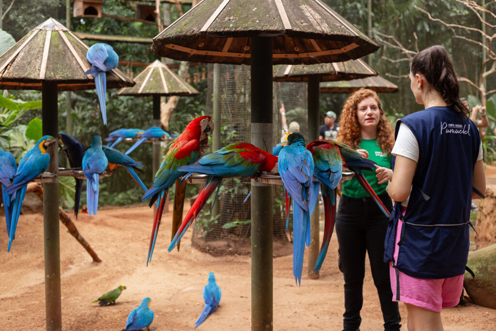 Visitante durante a Visita Guiada Pumuckl no viveiro das araras