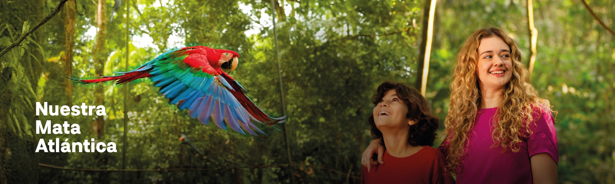 AF_Banner_Site_PDA_02