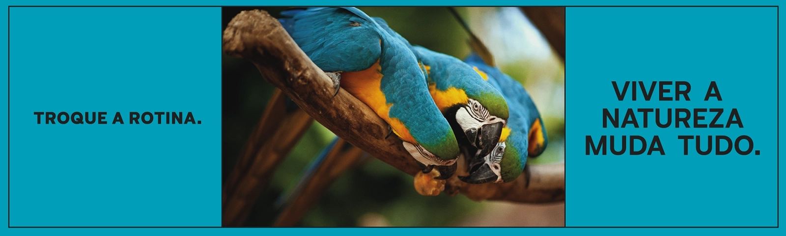 AF_Banner_Site_PDA_03-2