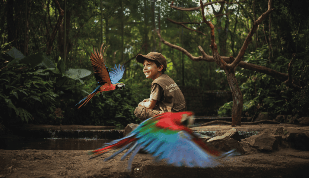 Clubinho Parque das Aves