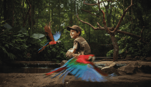 Clubinho Parque das Aves