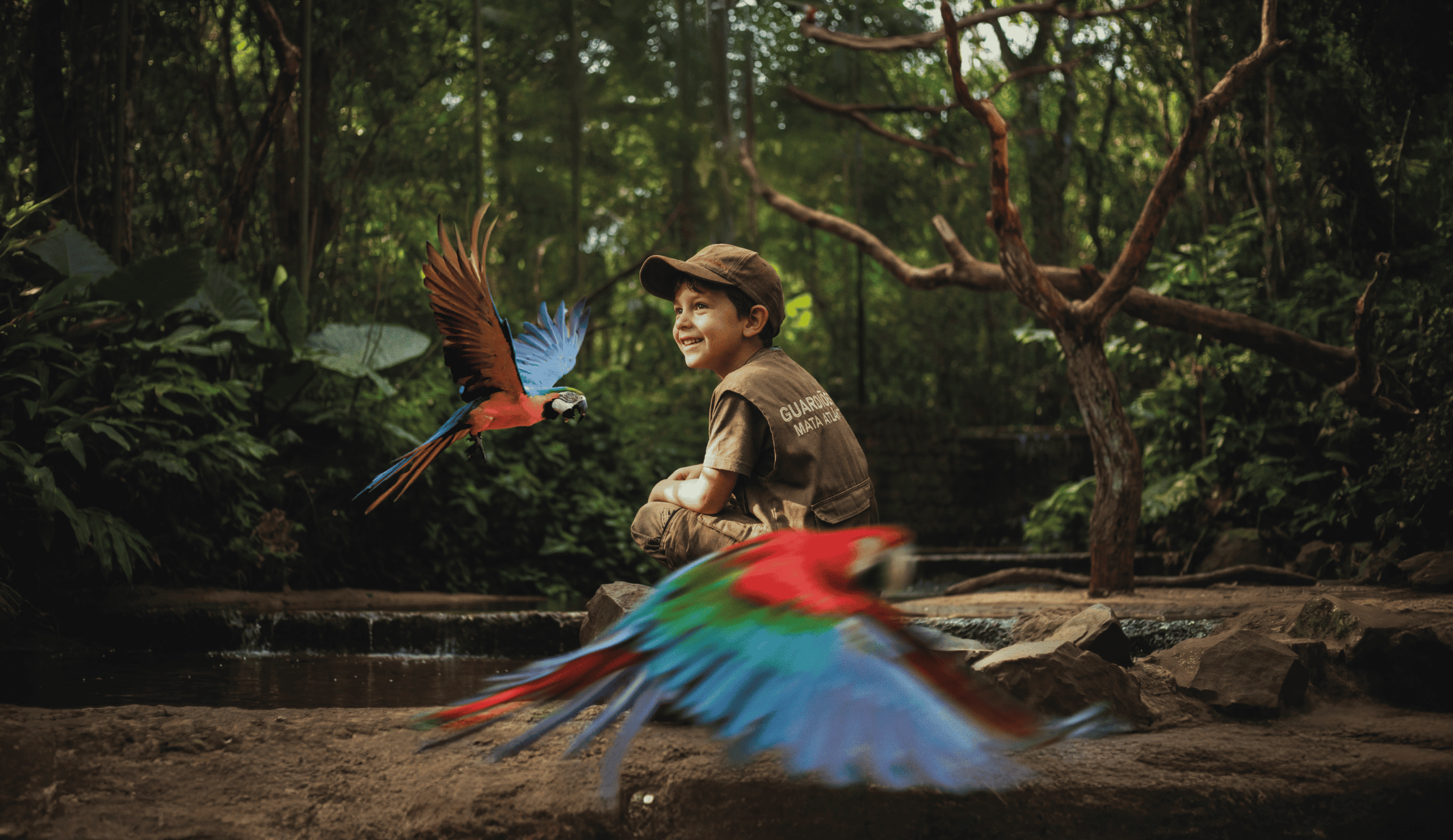 Clubinho Parque das Aves